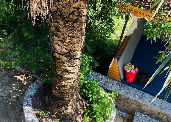 Villa Plum Garden Fethiye