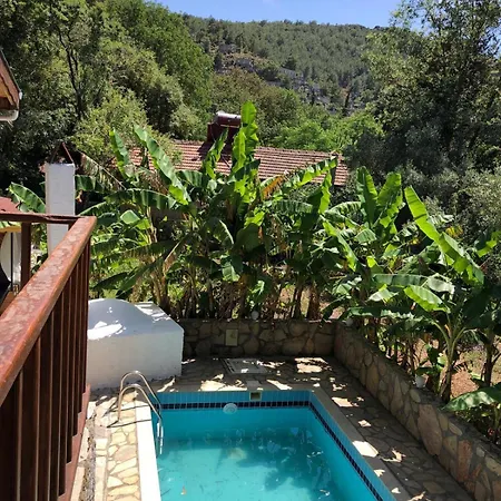 Plum Garden Βίλα