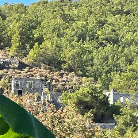 Plum Garden * Φετιγιέ