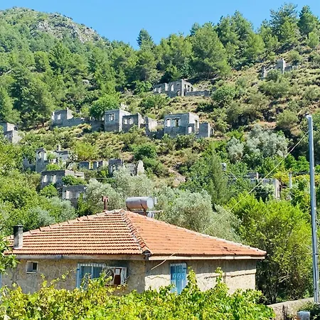 Вилла Plum Garden