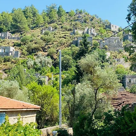 Plum Garden Βίλα