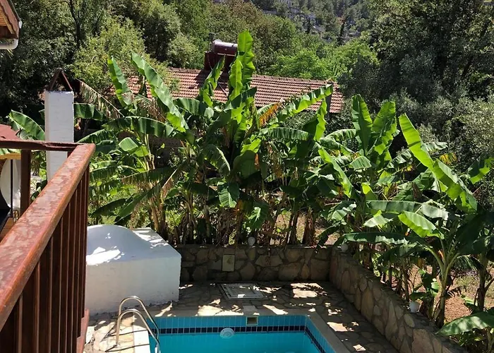 Plum Garden Вилла