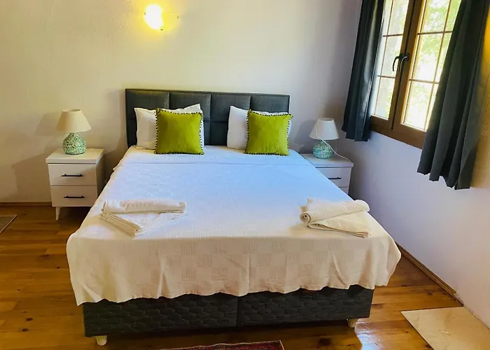 Plum Garden Vila *